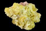 Yellow Wulfenite and Botryoidal Mimetite - La Morita Mine, Mexico #170309-1